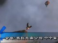 公司如何做到富可敵國? (781播放)