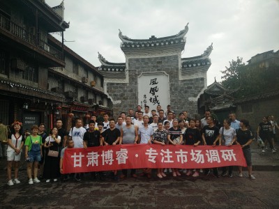 2017年9月湖南長(zhǎng)沙飛行車(chē)展 (0)