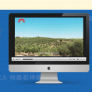 西班牙LA AURORA橄欖油品牌中國