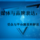 受眾與平臺(tái)測(cè)量和解讀