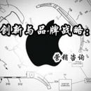 營(yíng)銷(xiāo)咨詢(xún)
