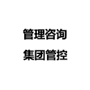 集團(tuán)管控