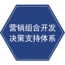 營(yíng)銷組合開(kāi)發(fā)決策支持體系