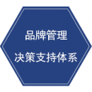 品牌管理決策支持體系