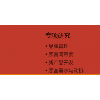 專項(xiàng)研究